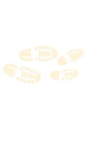 banner-shape